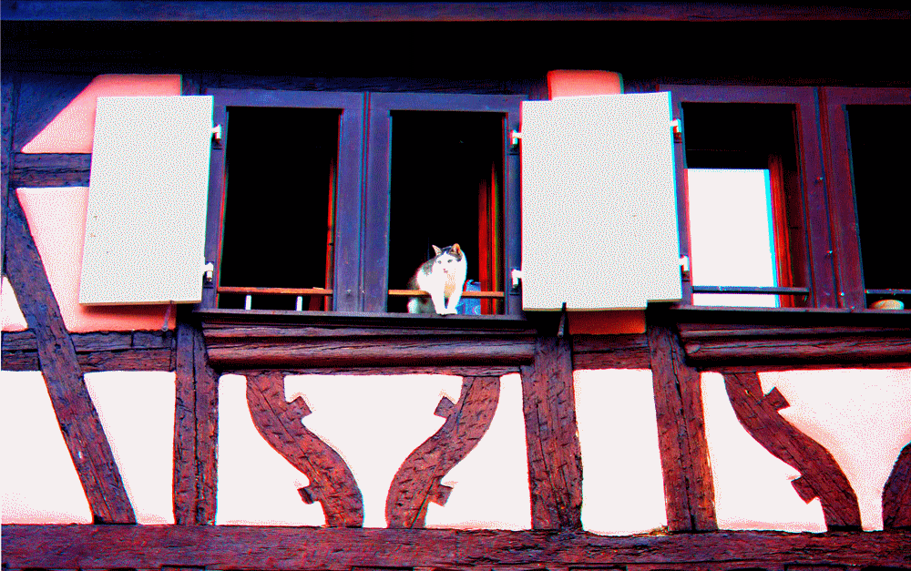 alsace